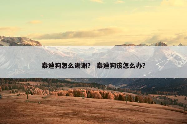 泰迪狗怎么谢谢？ 泰迪狗该怎么办？