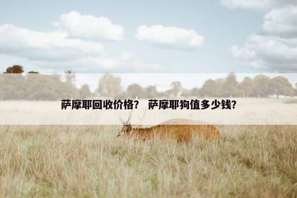 萨摩耶回收价格？ 萨摩耶狗值多少钱？