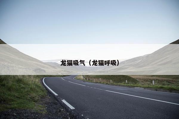 龙猫吸气（龙猫呼吸）
