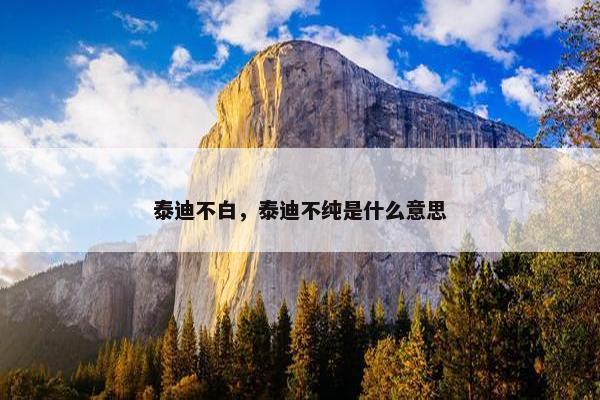 泰迪不白，泰迪不纯是什么意思