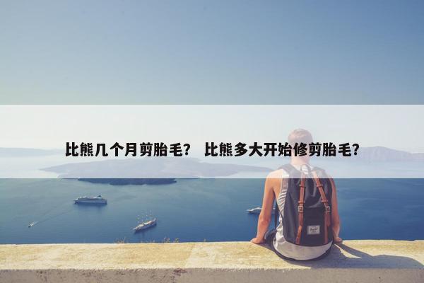 比熊几个月剪胎毛？ 比熊多大开始修剪胎毛？