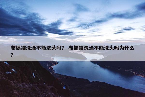 布偶猫洗澡不能洗头吗？ 布偶猫洗澡不能洗头吗为什么？