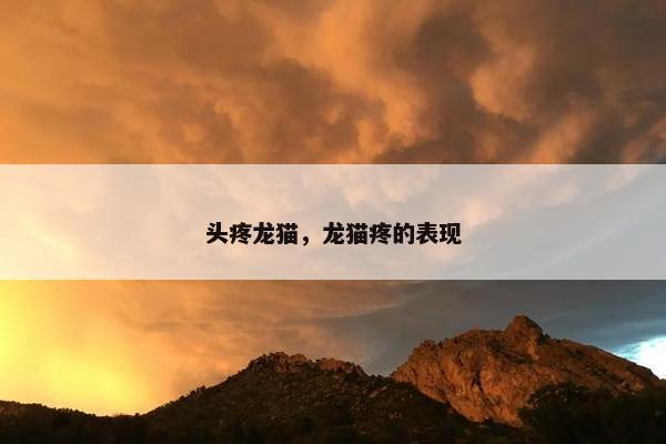 头疼龙猫，龙猫疼的表现