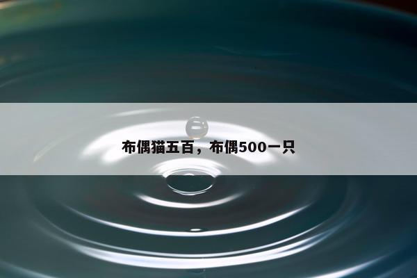 布偶猫五百，布偶500一只