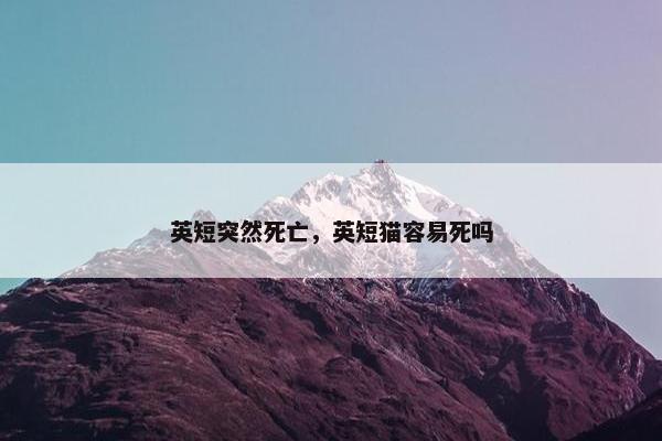英短突然死亡，英短猫容易死吗