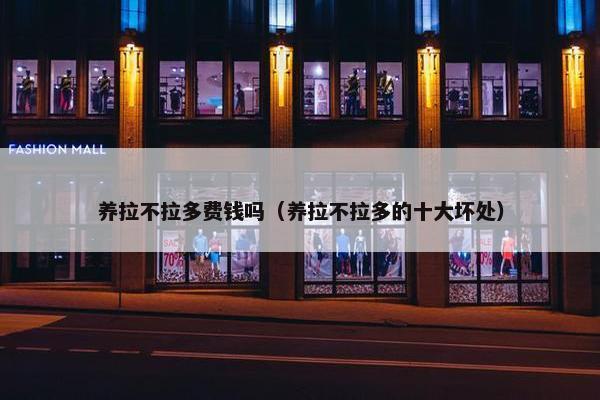 养拉不拉多费钱吗（养拉不拉多的十大坏处）