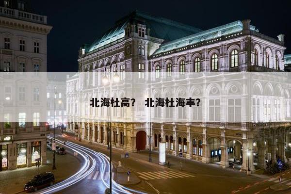 北海杜高？ 北海杜海丰？