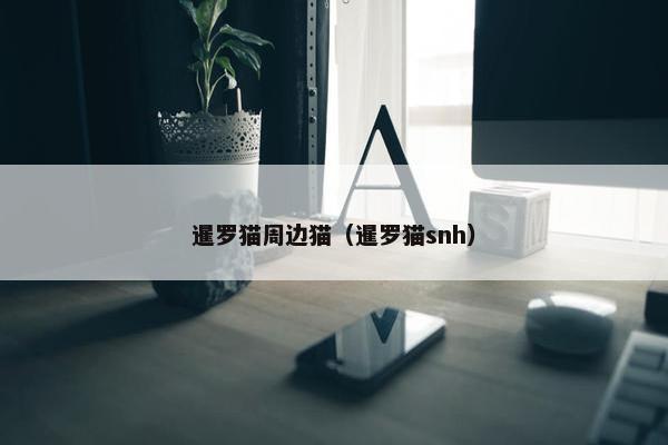 暹罗猫周边猫（暹罗猫snh）