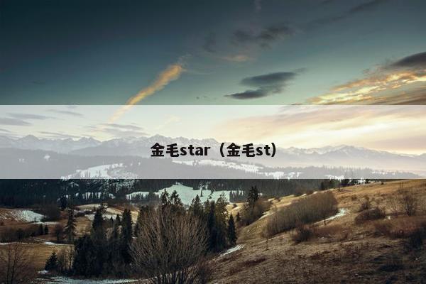 金毛star（金毛st）