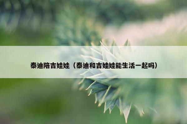 泰迪陪吉娃娃（泰迪和吉娃娃能生活一起吗）