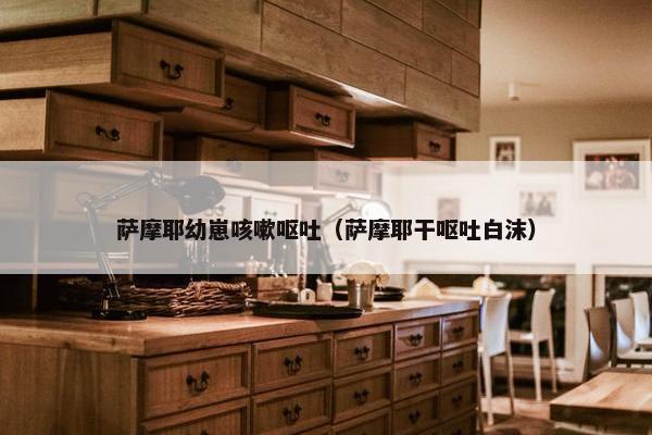 萨摩耶幼崽咳嗽呕吐（萨摩耶干呕吐白沫）