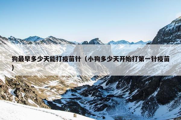 狗最早多少天能打疫苗针（小狗多少天开始打第一针疫苗）