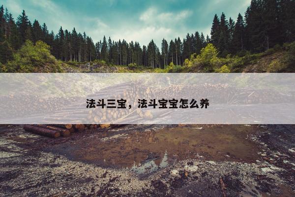 法斗三宝，法斗宝宝怎么养
