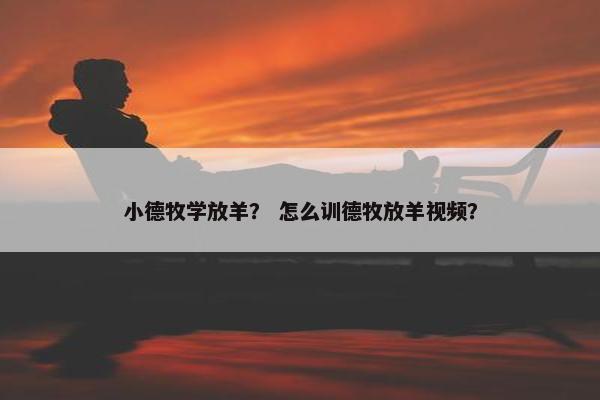 小德牧学放羊？ 怎么训德牧放羊视频？