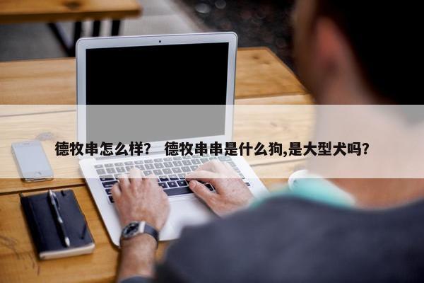 德牧串怎么样？ 德牧串串是什么狗,是大型犬吗？