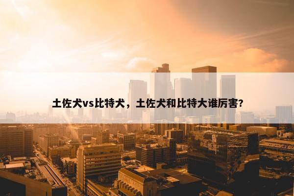 土佐犬vs比特犬，土佐犬和比特大谁厉害?