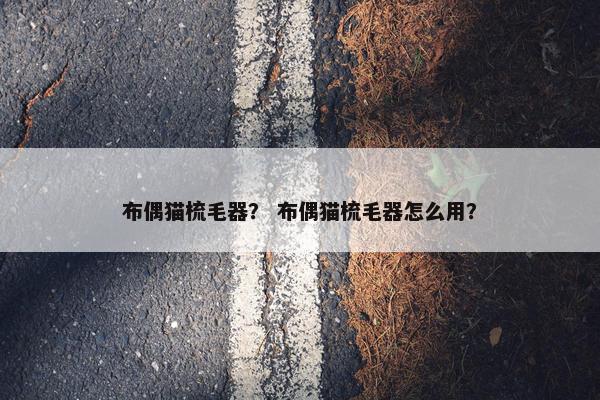 布偶猫梳毛器？ 布偶猫梳毛器怎么用？