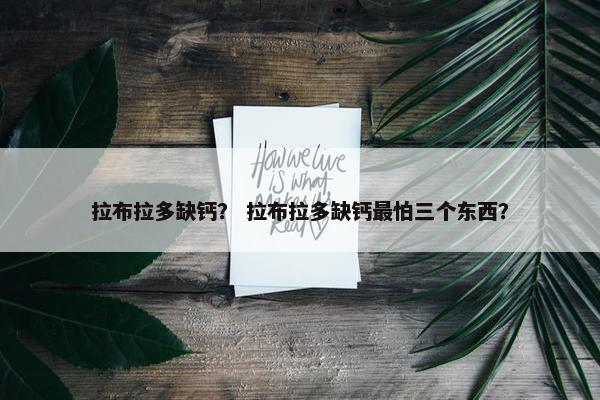 拉布拉多缺钙？ 拉布拉多缺钙最怕三个东西？