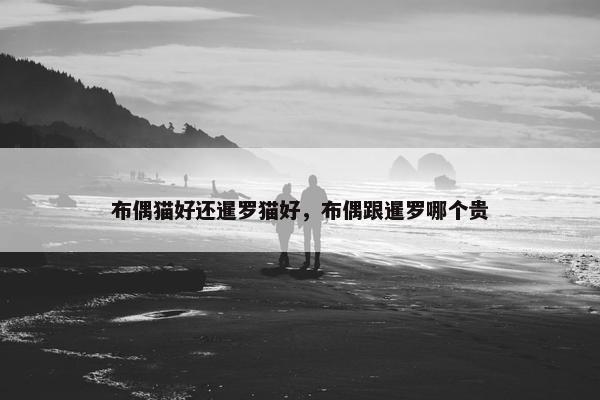 布偶猫好还暹罗猫好，布偶跟暹罗哪个贵