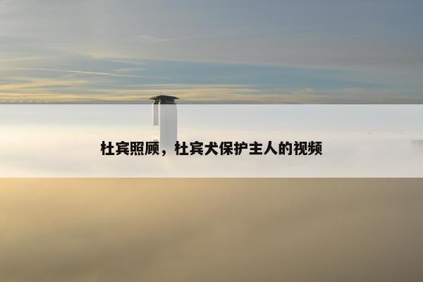 杜宾照顾，杜宾犬保护主人的视频