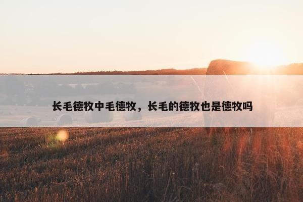 长毛德牧中毛德牧，长毛的德牧也是德牧吗