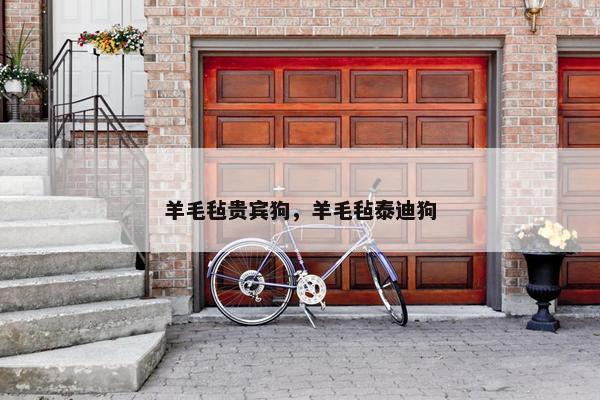羊毛毡贵宾狗，羊毛毡泰迪狗