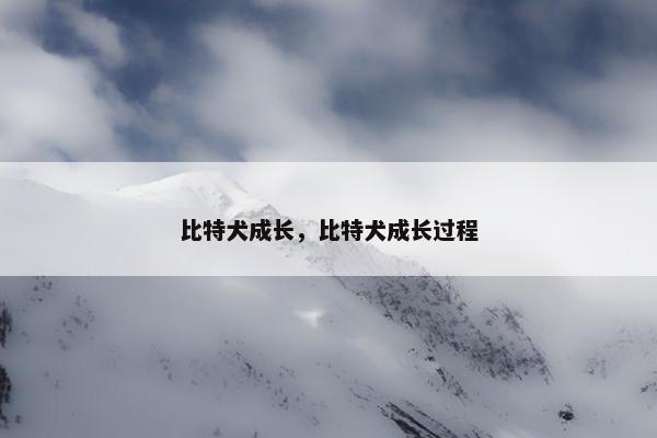 比特犬成长，比特犬成长过程
