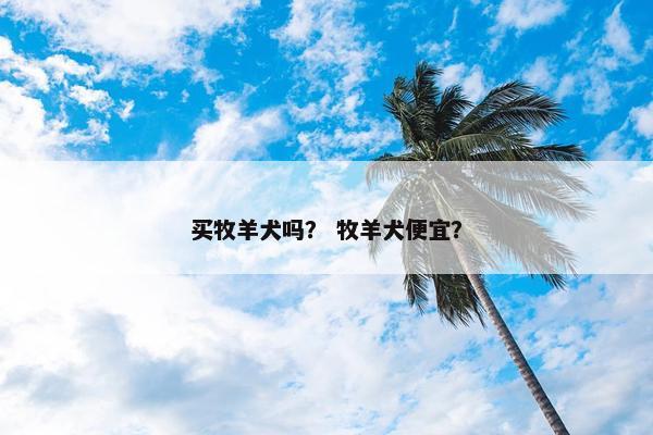 买牧羊犬吗？ 牧羊犬便宜？