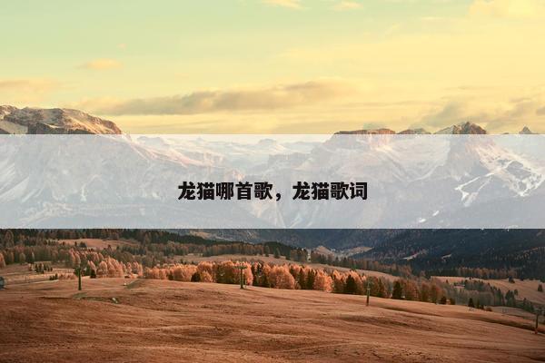 龙猫哪首歌，龙猫歌词