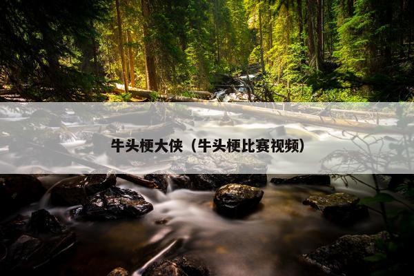 牛头梗大侠（牛头梗比赛视频）