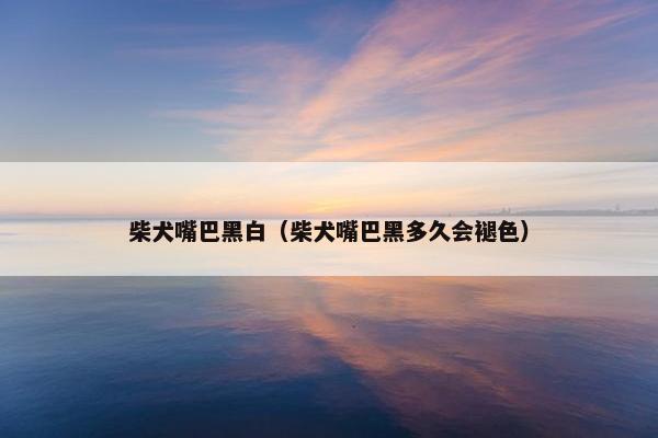 柴犬嘴巴黑白（柴犬嘴巴黑多久会褪色）
