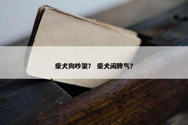 柴犬狗吵架？ 柴犬闹脾气？