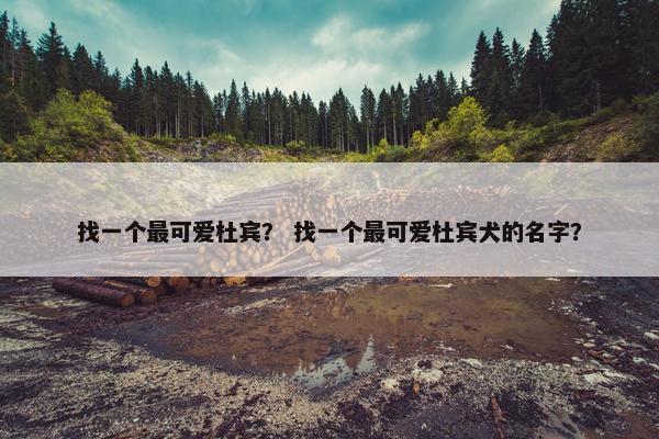 找一个最可爱杜宾？ 找一个最可爱杜宾犬的名字？