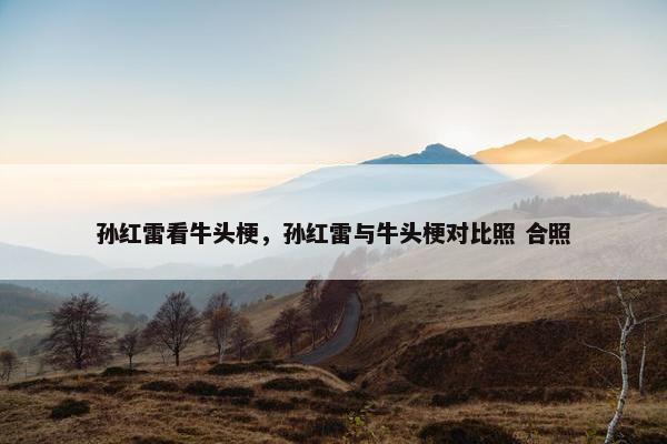 孙红雷看牛头梗，孙红雷与牛头梗对比照 合照