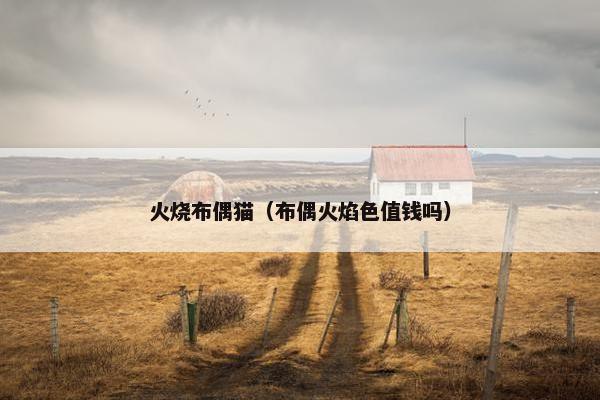 火烧布偶猫（布偶火焰色值钱吗）