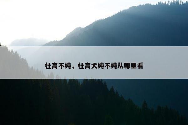 杜高不纯，杜高犬纯不纯从哪里看