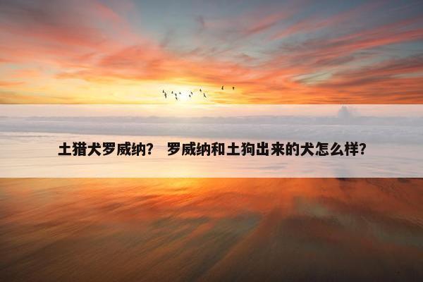 土猎犬罗威纳？ 罗威纳和土狗出来的犬怎么样？