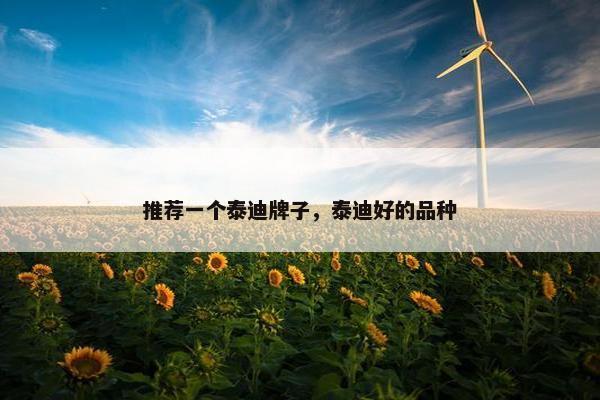 推荐一个泰迪牌子，泰迪好的品种