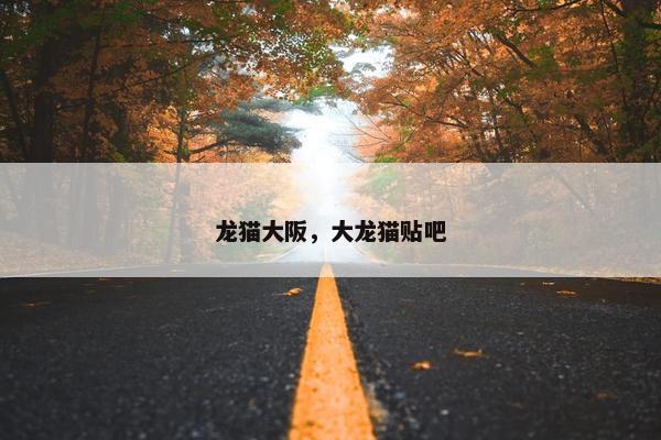 龙猫大阪，大龙猫贴吧