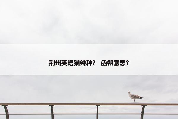 荆州英短猫纯种？ 函朔意思？