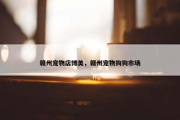 赣州宠物店博美，赣州宠物狗狗市场