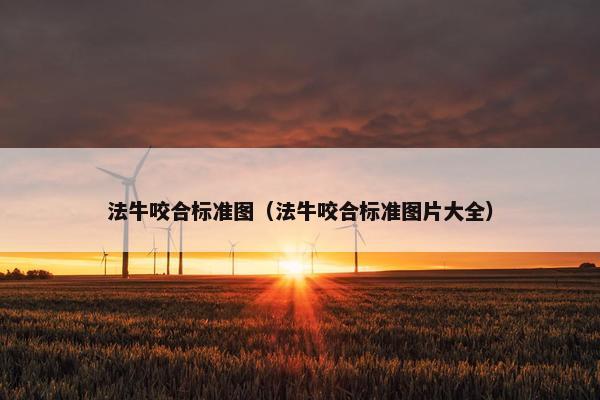 法牛咬合标准图（法牛咬合标准图片大全）
