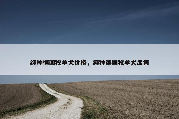 纯种德国牧羊犬价格，纯种德国牧羊犬出售