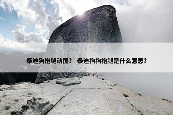 泰迪狗抱腿动图？ 泰迪狗狗抱腿是什么意思？