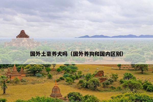国外土豪养犬吗（国外养狗和国内区别）