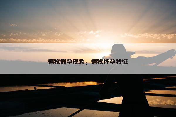 德牧假孕现象，德牧怀孕特征