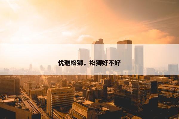 优雅松狮，松狮好不好
