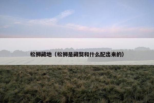 松狮藏地（松狮是藏獒和什么配出来的）