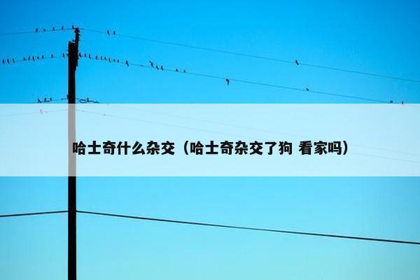 哈士奇什么杂交（哈士奇杂交了狗 看家吗）