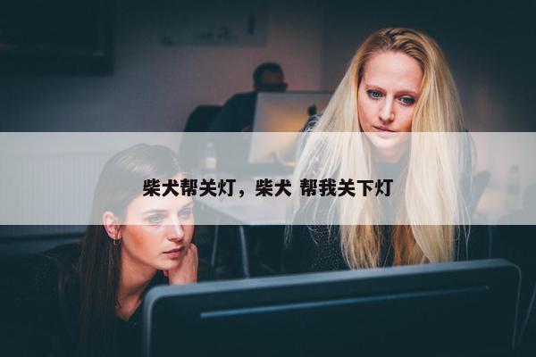 柴犬帮关灯，柴犬 帮我关下灯